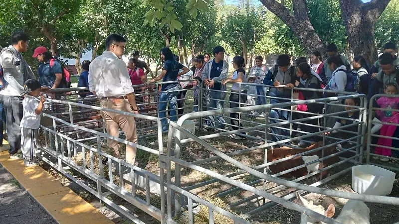 Tianguis de la Ciencia en Celaya (3)